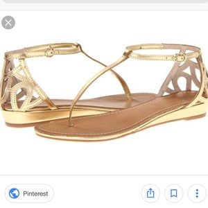 Seychelles metallic gold leather sandal NWT